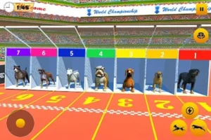 Bí Kíp Thắng Lớn Cách Chơi Game Nhanh Đua Chó Tại BuBet Cực Hấp Dẫn