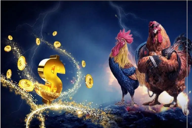 Bí Quyết Thắng Lớn Đá Gà WS168 Tại BuBet Thống Lĩnh Mọi Trận Đấu