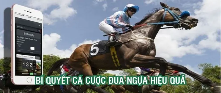 Chinh Phục Cá Cược Đua Ngựa BuBet Với Cơ Hội Thắng Siêu Hấp Dẫn