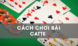 Làm Chủ Sắc Tê Nhà Cái Bubet Với Chiến Thuật Cực Kỳ Hiệu Quả
